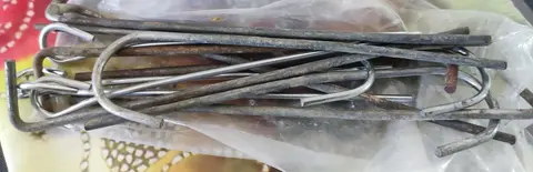 sardines
