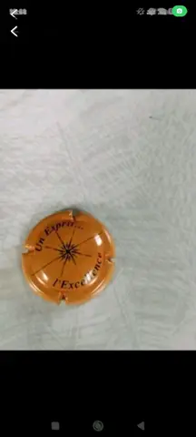 capsule 1