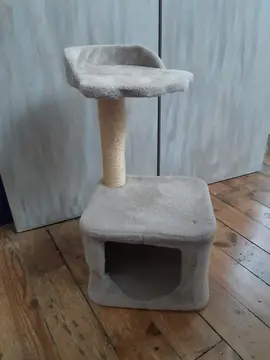 Arbre à chat