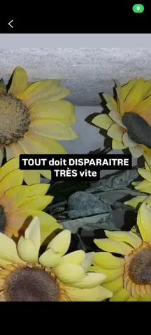 a donner : voir annonces