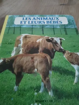 les animaux et leurs bébés