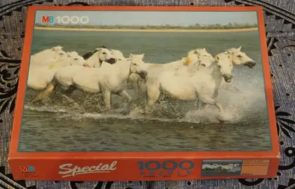 puzzle 1000 pièces