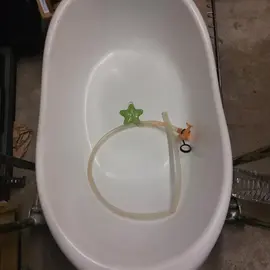 baignoire bébé