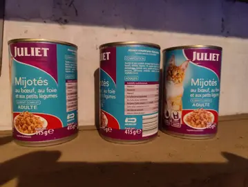 pâtée pour chat