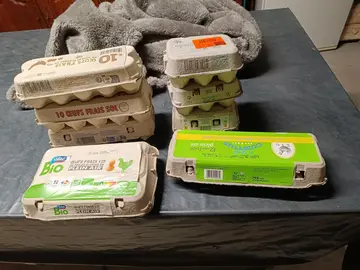 boîtes d'oeufs