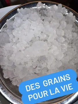 kéfir de fruits