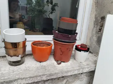 Pots
