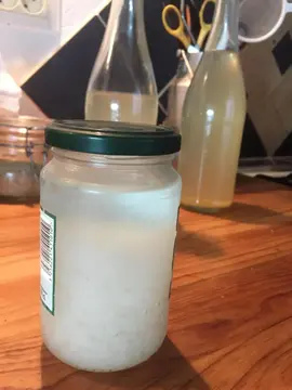 grains de kefir