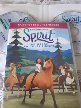 DVD "Spirit" saisons 1,2,3,4