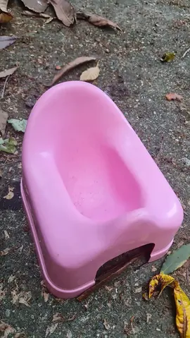pot bébé