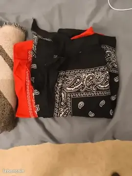 Donne Un lot de écharpe et bandanna
