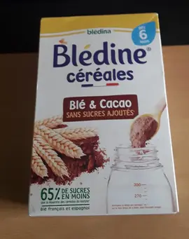 Blédine céréales ok 07/2025
