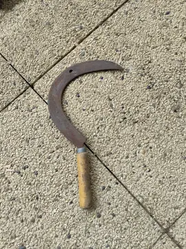serpe