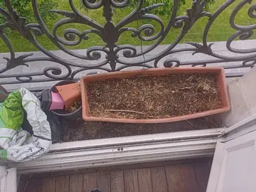 Jardinières