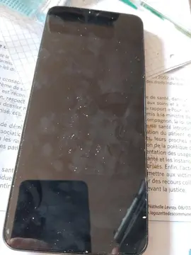 portable smartphone