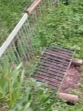 balcons ferraille