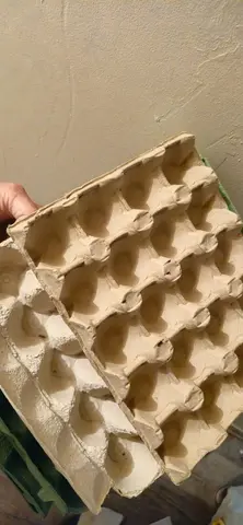 Boîtes d'œufs