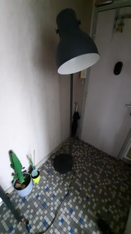 lampadaire sur pied