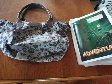 Petit sac à main