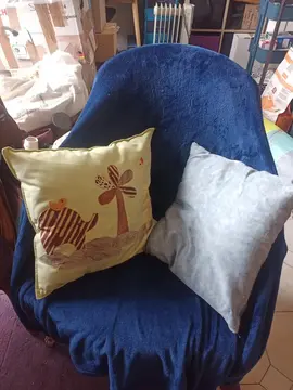 2 coussins