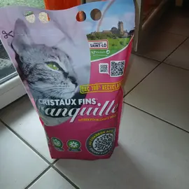 litiere chat
