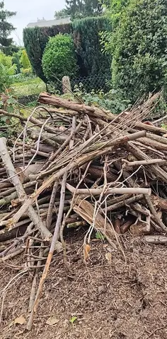 bois de chauffage