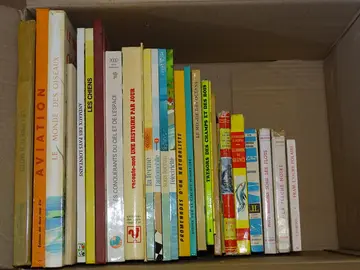 Donne lots de livres pour enfants