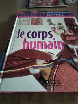 le corps humain