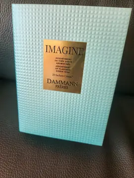 coffret vide neuf Damann pour sachets de thé