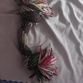 jouet en corde pour gros chien