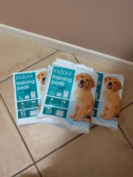 alèses pour chiot