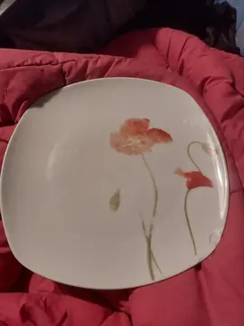 Don assiette