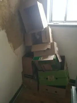 cartons déménagement