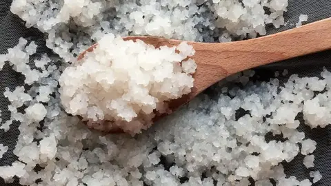 Grains de kéfir de fruits