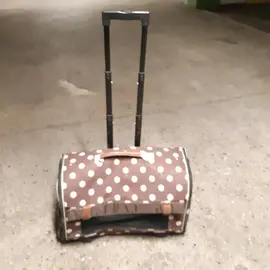 Sac de transport à roulettes pour chien ou chat