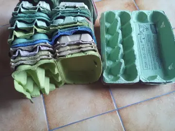 boîtes à oeufs