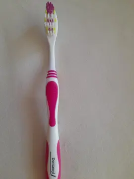 2 brosses à dent