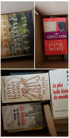 cartons de livres