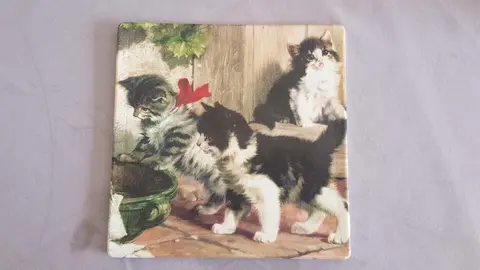 Dessous de plat motif Chatons