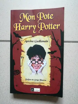 Livre Mon pote Harry Potter