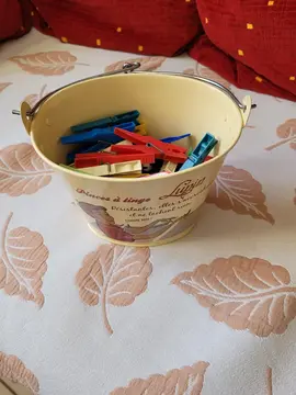 pinces à linge