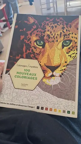 Livre coloriage mystère