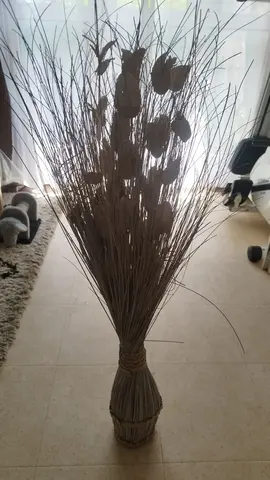 fleurs séchées pour décoration
