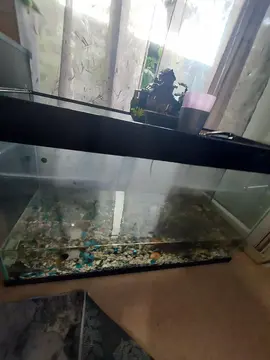 cuve aquarium 200 litre
