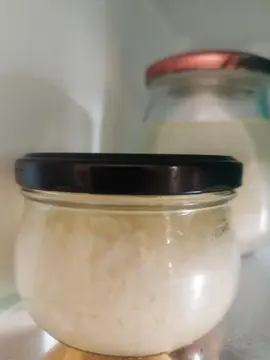 grains de kefir