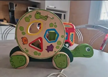 Tortue à tirer et former à encastrer