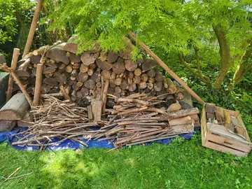 bois de chauffage
