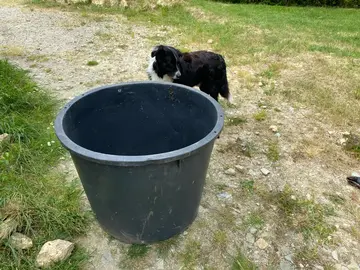 énorme pot pour plantes