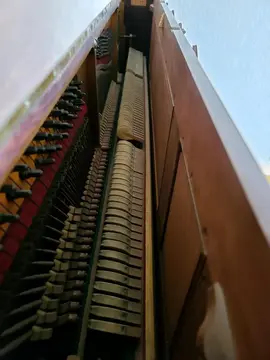 Piano Pleyel