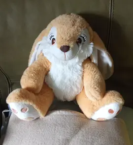 Peluche